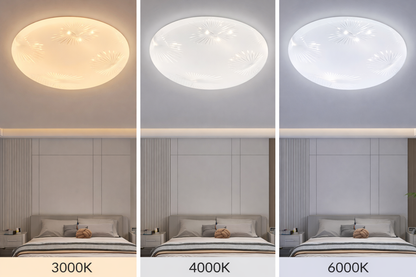 LED ceiling light Casey 30W White 