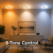 LED chandelier with remote control VECTOR ARCUS 52W, 2 Elements, Cold/Warm/Neutral light, Dimmable, Black White