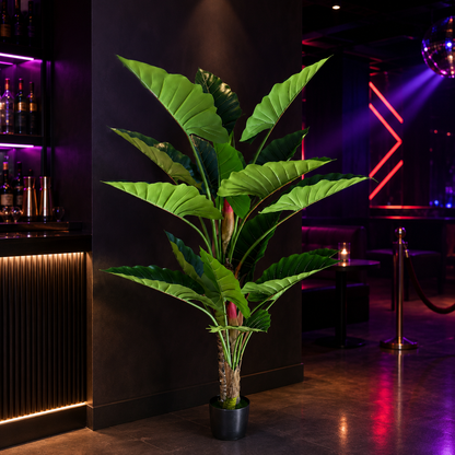 Decorațiune Alocasia, 2 tulpini, Plastic, 190 cm, Verde