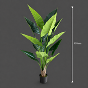 Decorațiune Alocasia, 14 frunze, Plastic, 170 cm, Verde