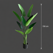 Decorațiune Strelitzia Nicolai, 150 cm, 10 frunze, Verde