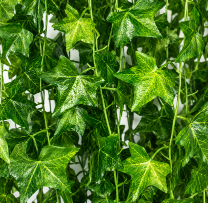 Artificial Ivy Garland Plant, 12 Branches x 72 Leaves, Green