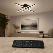 LT171_4BK - 2. REMOTE SHOW