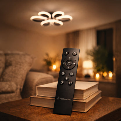 LT223BK — 2. REMOTE SHOW