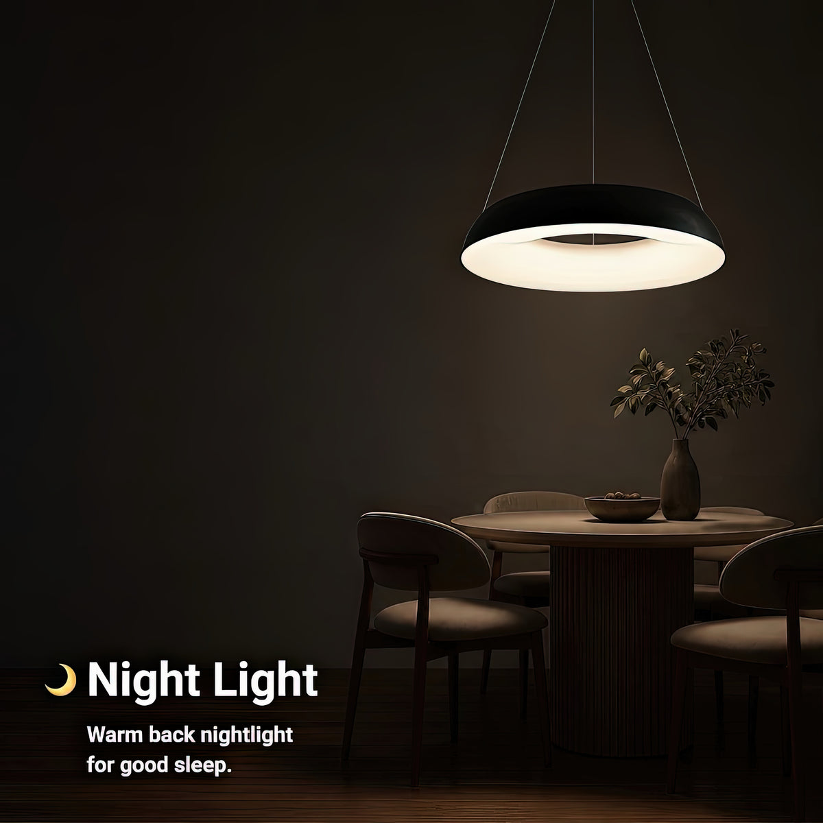 LT270BK — LT270BK - 5. NIGHT LIGHT.jpg