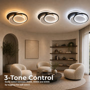 LT633-500R — LT633-500R - 4. 3-TONE CONTROL.jpg