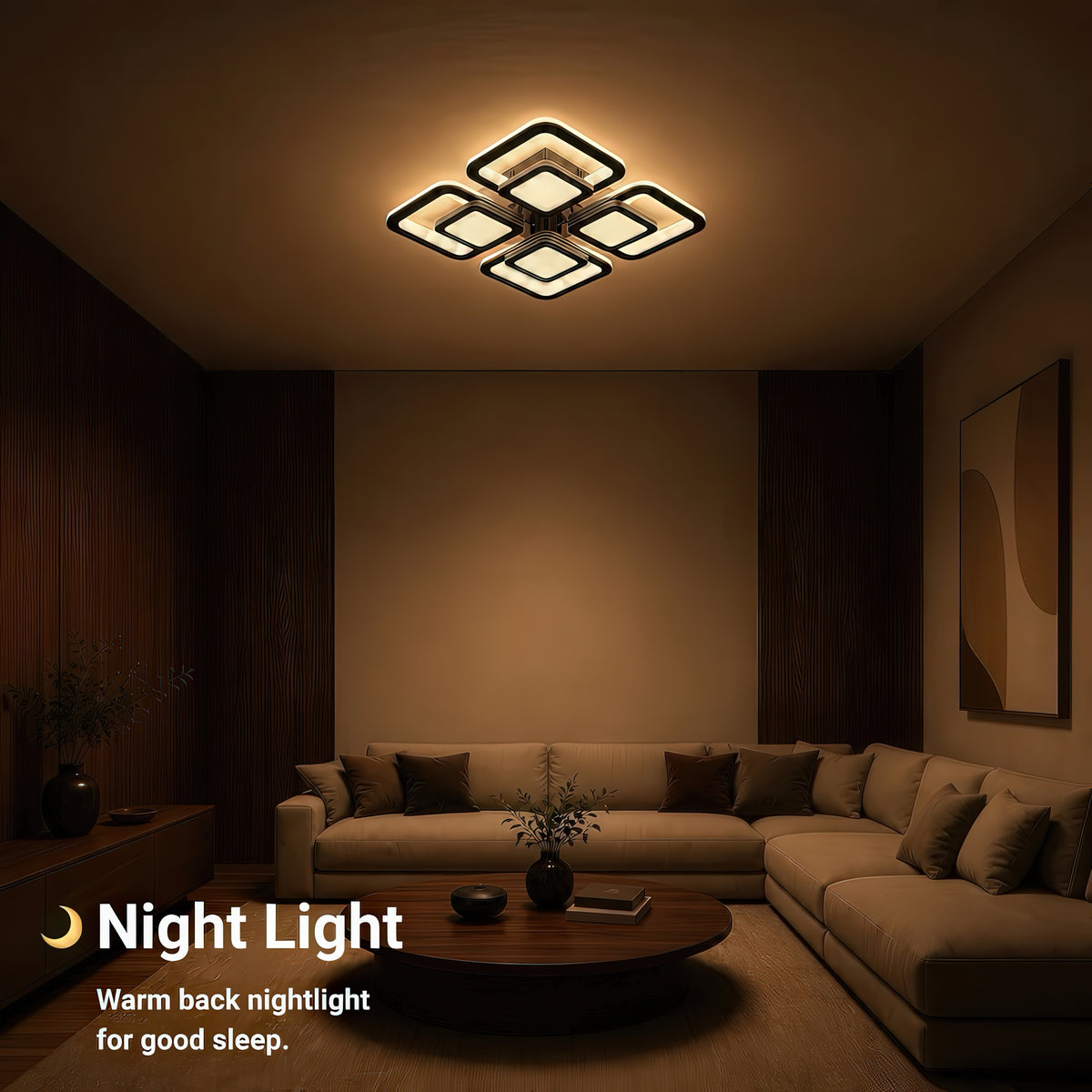 LT804_4BK — 5. NIGHT LIGHT
