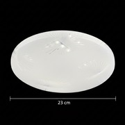 LED ceiling light Casey 30W White 