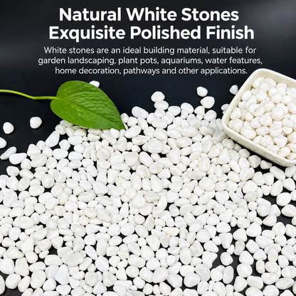 White Decorative Stones for the Garden, Large Size, 20 kg