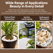 White Decorative Stones for the Garden, Large Size, 20 kg