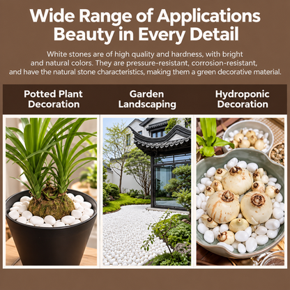 White Decorative Stones for the Garden, Large Size, 20 kg