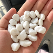 White Decorative Stones for the Garden, Small Size, 20 kg