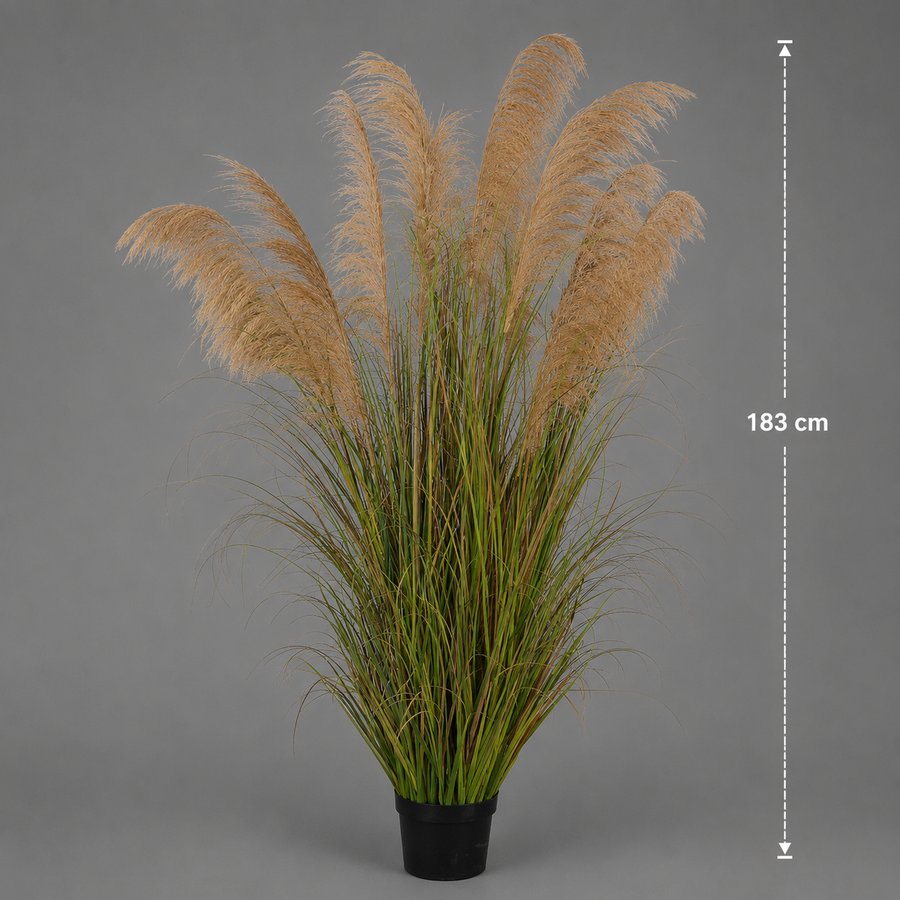 Artificial Plant Ornamental Grass, 183cm, with 13 strands, Reed and Grass, Dark Green, No Pot
