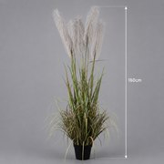 Artificial Plant Ornamental Grass, 180cm, with 5 strands, Reed and Grass, Green and Gray, No Pot