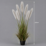 Artificial Plant Ornamental Grass, 220cm, with 7 strands, Reed sj Grass, Green and Gray, No Pot