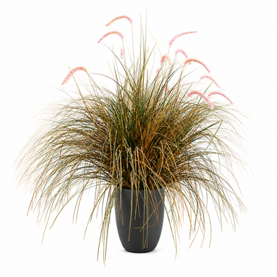 Foxtail Artificial Grass Ornamental Plant, 120cm, Curved Grass and Spices, Green and Pink, No Pot
