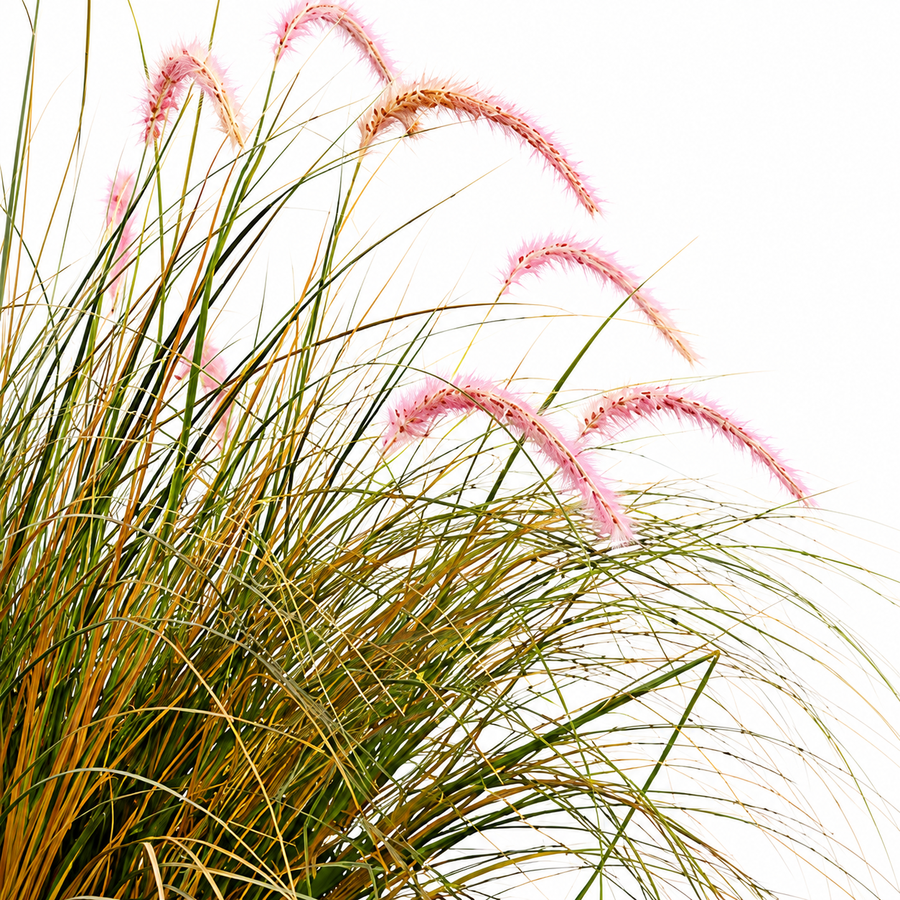 Foxtail Artificial Grass Ornamental Plant, 120cm, Curved Grass and Spices, Green and Pink, No Pot