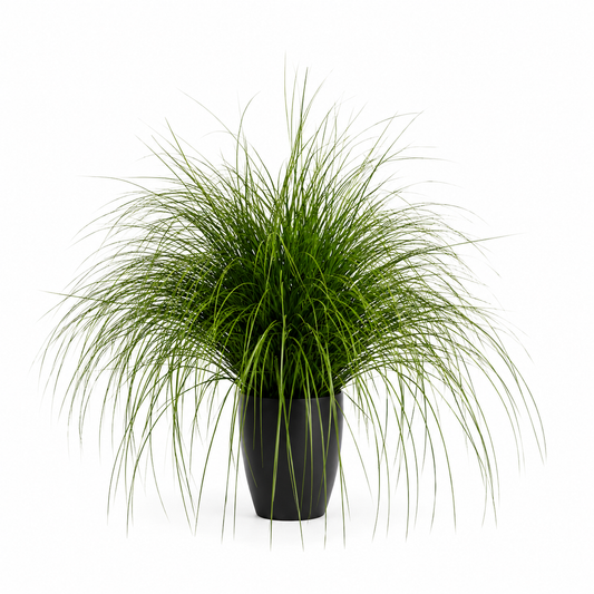 Artificial Fountain Type Grass Ornamental Plant, 110cm, Green, No Pot