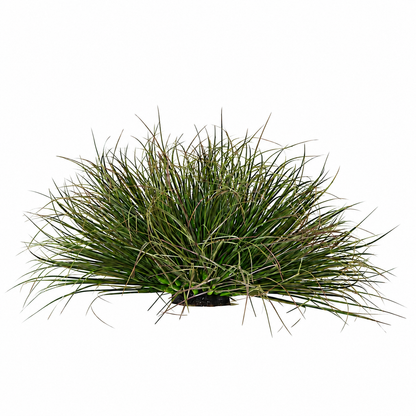 Artificial Plant Curved Onion Grass Bush, 28cm, Low Density, Dark Green, Potless