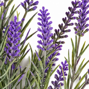Artificial Plant, Decorative Lavender Flower, 5 Branches, 40 cm, Purple and Green, Set of 2 Pieces