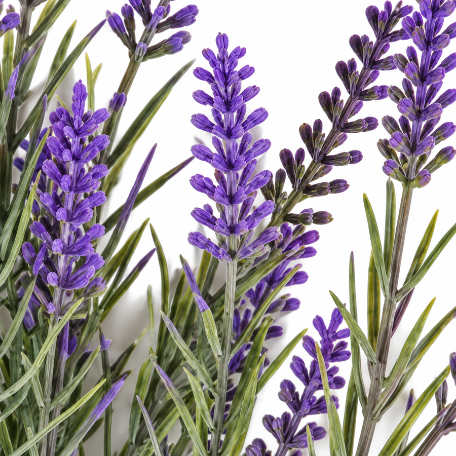Artificial Plant, Decorative Lavender Flower, 5 Branches, 40 cm, Purple and Green, Set of 2 Pieces