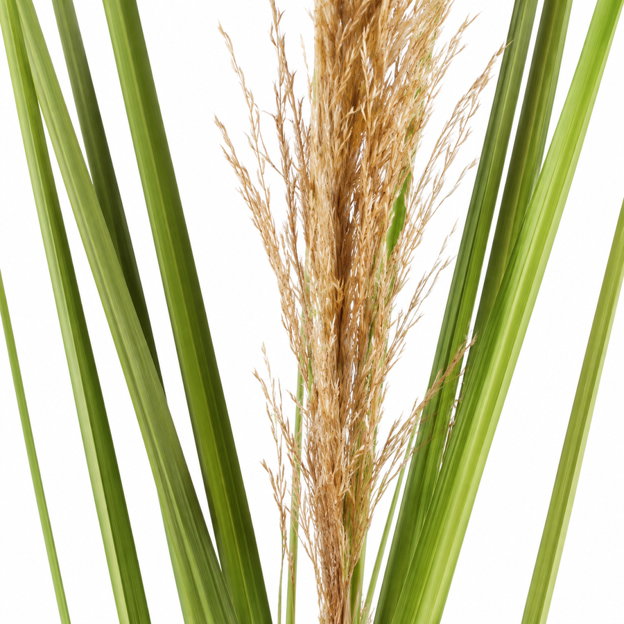 Artificial Plant Ornamental Grass, 110 cm, Reed and Grass, Green and Brown, No Pot
