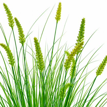Artificial Fox Tail Type Ornamental Grass Plant, 100 cm, with 12 Spices, Green, No Pot