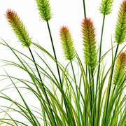 Artificial Fox Tail Type Ornamental Grass Plant, 100 cm, with 12 Spices, Green and Brown, No Pot