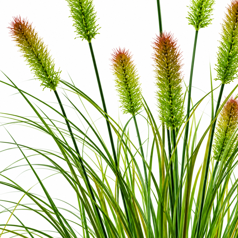 Artificial Fox Tail Type Ornamental Grass Plant, 100 cm, with 12 Spices, Green and Brown, No Pot