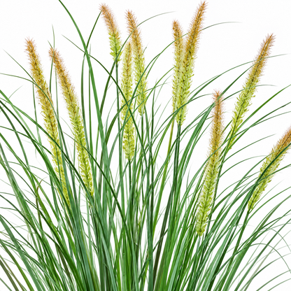 Artificial Fox Tail Type Ornamental Grass Plant, 100 cm, with 12 Spices, Green and Pink, No Pot