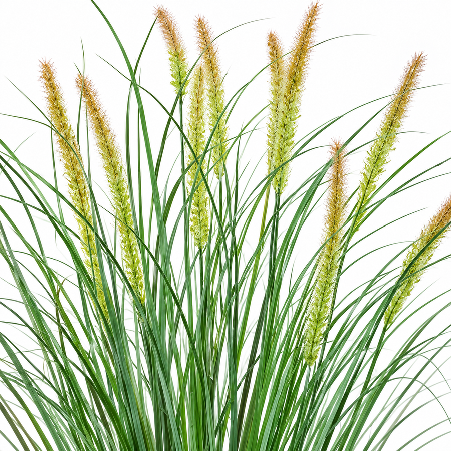 Artificial Fox Tail Type Ornamental Grass Plant, 100 cm, with 12 Spices, Green and Pink, No Pot
