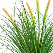 Artificial Fox Tail Type Ornamental Grass Plant, 60 cm, with 7 Spices, Green and Pink, No Pot