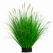 Artificial Foxtail Ornamental Grass Plant, 80 cm, with 33 Spices, Green and White, No Pot