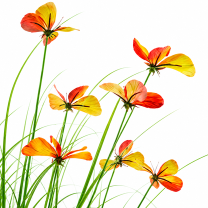 Artificial Butterfly Grass Ornamental Plant, 100 cm, with 13 Flowers, Green and Red, No Pot