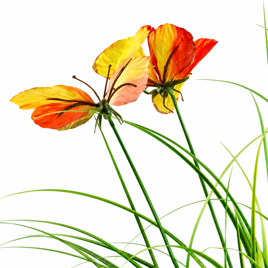 Artificial Butterfly Grass Ornamental Plant, 60 cm, with 5 Flowers, Green and Red, No Pot