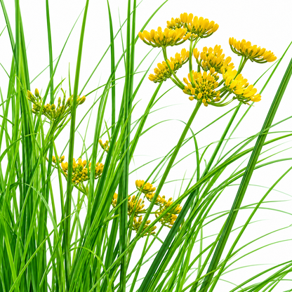 Artificial Plant Ornamental Grass Dill Type, 80 cm, with 9 Flowers, Green and Yellow, No Pot