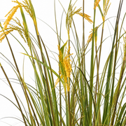 Artificial Plant Ornamental Grass Rice Spice Type, 150cm, with 17 Wires, Green and Yellow, No Pots