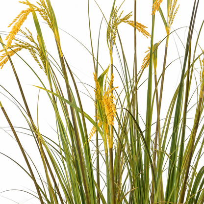 Artificial Plant Ornamental Grass Rice Spice Type, 150cm, with 17 Wires, Green and Yellow, No Pots