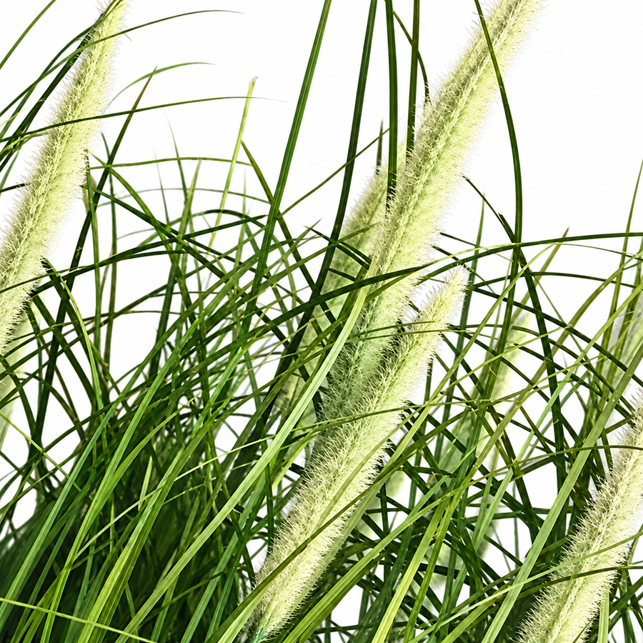 Artificial Plant, Foxtail Potted Ornamental Grass, 61 cm, with 19 Spices, Green and White