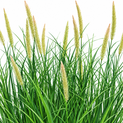 Artificial Plant, Foxtail Potted Ornamental Grass, 70 cm, with 25 Spices, Green and Pink