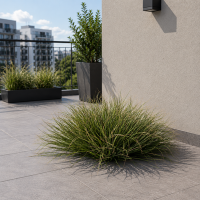 Artificial Plant Curved Onion Grass Bush, 38cm, Medium Density, Dark Green, Potless
