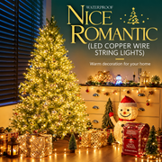 Linear Christmas Installation with Silver Wire and Remote Control, Warm Light, 20,000cm, 2000 LEDs, IP44
