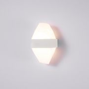 LED Outdoor Wall Lamp Kennedy 12W Black White