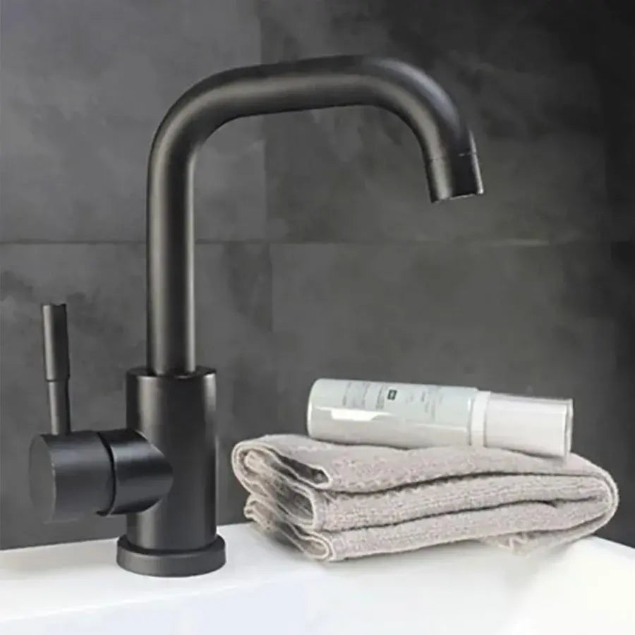 Basin Mixer with Rotating Spout, Black, SUS304 Stainless Steel, LY008C