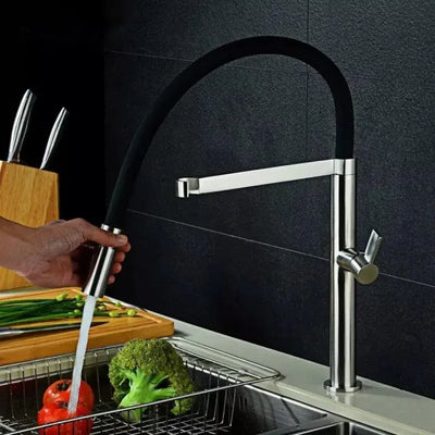 KORMAN TECHNIK Kitchen Faucet, Sanitary Brass, Chrome, CF2044