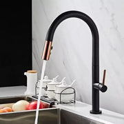 Kitchen Faucet, Sanitary Brass, Black, CF1035/B