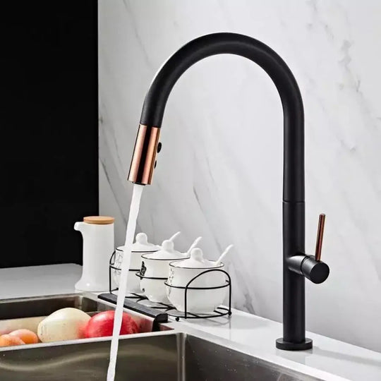 Kitchen Faucet, Sanitary Brass, Black, CF1035/B Kitchen Faucets Default Title Alessandro Design