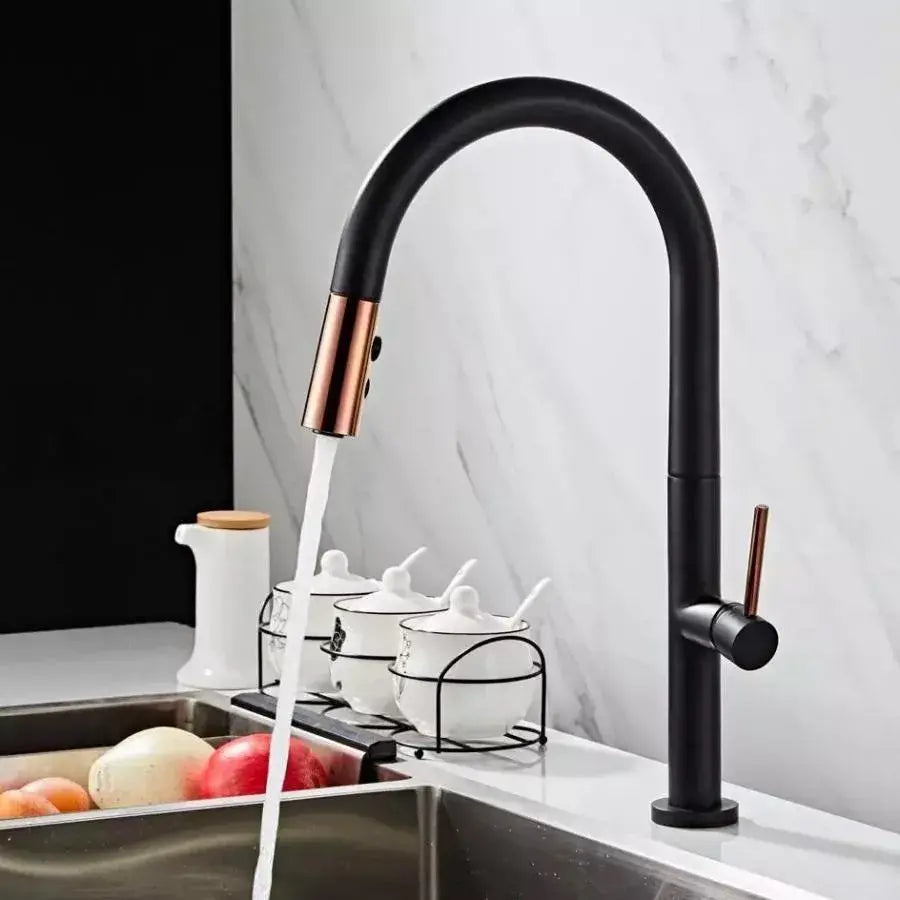 Kitchen Faucet, Sanitary Brass, Black, CF1035/B