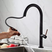 Kitchen Faucet, Sanitary Brass, Black, CF1035/B