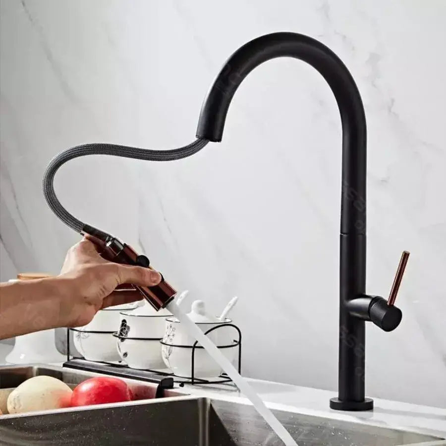 Kitchen Faucet, Sanitary Brass, Black, CF1035/B
